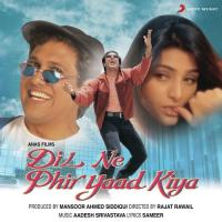 Dil Ne Phir Yaad Kiya Sonu Nigam,Alka Yagnik Song Download Mp3