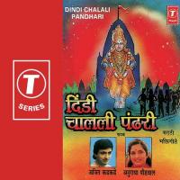 Yogi Chaagdev Anuradha Paudwal,Ajeet Kadkade Song Download Mp3