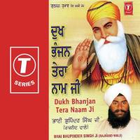 Dukh Bhajan Tera Naam Ji Bhai Bhupinder Singh Ji-Rajnand Wale Song Download Mp3