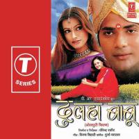 Tu Hi Dulha Hav Hamaar Kumar Debu Song Download Mp3