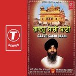 Babiha Amrit Vele Boliya Bhai Sukhdev Singh-Tarantaaran Wale Song Download Mp3