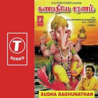 Sri Ganesa Pancharatnam Sudha Ragunathan Song Download Mp3