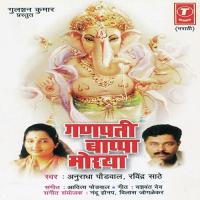 Om Gajaanana He Naam Sodu Nako Anuradha Paudwal Song Download Mp3