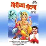 Aali Re Swari Ganarayachi Shrikant Narayan Song Download Mp3