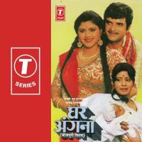 Rakhih Mori Rani Sadhana Sargam,Mohammed Aziz Song Download Mp3