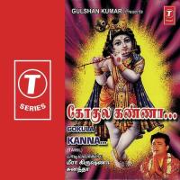 Kannanin Leelaigal Sunanda Devi,Meera Krishna Song Download Mp3