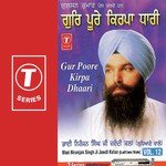 Gur Poore Kirpa Dhaari Sant Niranjan Singh Ji-Jawadi Kalan Wale Song Download Mp3