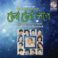 Premer Naam Bedona Subir Nandi Song Download Mp3