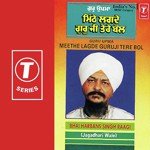 Meethe Lagde Guru Ji Tere Bol Vele Amrat De Bhai Harbans Singh Ji Song Download Mp3