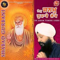 Eh Janam Tumare Lekhe Bhai Achaljeet Singh Jolly Song Download Mp3