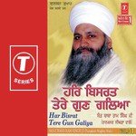 Har Bisrat Tere Gun Galiya Sant Baba Ram Singh Ji-Singhra Kamal Wale Song Download Mp3