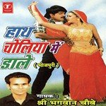 Jhuliyon Ke Shahar Mein Shri Bhagwan Chobe Song Download Mp3