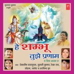 Saare Jag Ke Rakhwale Tulsi Kumar,Debashish Dasgupta Song Download Mp3