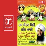 Virla Kei Kei Bhai Gurcharan Singh Rasia-Ludhiana Wale Song Download Mp3