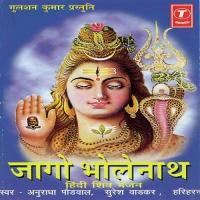 Jaago Bholenath Hamaare Suresh Wadkar,Anuradha Paudwal,Hariharan Song Download Mp3