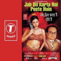 Jab Dil Karta Hai Peete Hain Chandan Dass Song Download Mp3