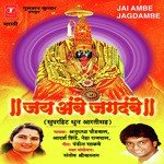 Aaicha Jogwa Maagen Anuradha Paudwal Song Download Mp3