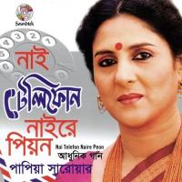 Aro Kotodur Chole Jete Hobe Papiya Sarowar Song Download Mp3