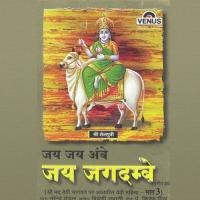 Vyas Ji Ki Janam Katha Raja Mahbhish Avam Ganga Ji Ko Bramha Ka Shaap Bhisham Ki Narendra Chanchal Song Download Mp3