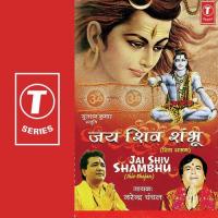 Chaaron Dishaaon Se Narendra Chanchal Song Download Mp3