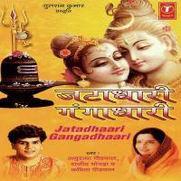 Shiv Tera Naam Hai Pyara Anuradha Paudwal,Kavita Paudwal,Rajiv Chopra Song Download Mp3