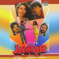 Ye Dil Mein Rahanewale - Kumar Sanu Kumar Sanu Song Download Mp3