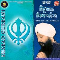 Shree Har Kishan Dhiyaiye Bhai Achaljeet Singh Jolly Song Download Mp3