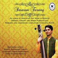 Raag Multani Pushkar Lele Song Download Mp3