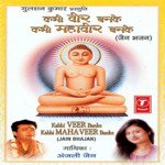 Tune Naago Ka Haar Banaya Anjali Jain Song Download Mp3