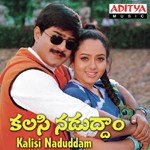 Hello Lady Super Jodi Sunitha,Shreeram Lagoo,Krishnaraju Song Download Mp3