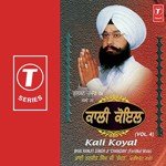 Kali Koyal Tu Kit Gun Kali (Vyakhya Sahit) Bhai Ranjit Singh Chandan-Faridkot Wale Song Download Mp3