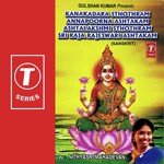 Meenakshi Pancharatnam Nithyasree Mahadevan Song Download Mp3