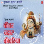 Le Chal Kanwar Shivdham Sonu Nigam,Anuradha Paudwal Song Download Mp3