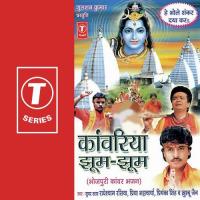 Jara Jhoom-Jhoom Jara Jhoom-Jhoom Khushboo Jain,Priya Bhattacharya,Radheshyam Rasiya,Priyanka Singh Song Download Mp3