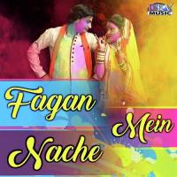 Chang Fagan Mein Mitha Baje Banwari Gangwal Song Download Mp3