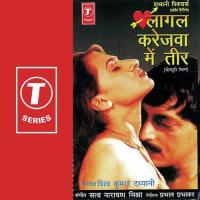 Laagel Karejwa Mein Teer Anuradha Paudwal Song Download Mp3