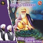 Hum Aadmi Haan Ek Dami Bhai Satwinder Singh Song Download Mp3