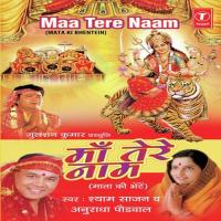 Tera Dar Chhodkar Mujhko Jana Kahaan Hai Shyam Sajan Song Download Mp3