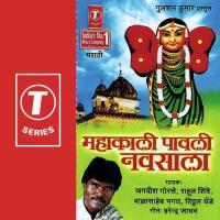 Navraticha Ha Sohla Aala Vitthal Dhende,Rahul Shinde,Jagdish Gorse,Bala Saheb Bhagat Song Download Mp3