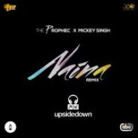 Naina (Upsidedown Remix) The Prophec,Mickey Singh & Upsidedown Song Download Mp3