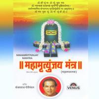 Om Namah Shivay - Dhun Suresh Wadkar Song Download Mp3