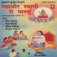 Mankha Kyon Bhulyo Re Sheela Shethiya,Rekha Trivedi,Bhanwar Chaudhary,Dileep Bafna Song Download Mp3