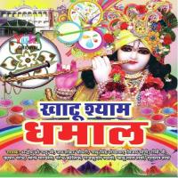 Holi Maza Na Degi Babu Lal Sharma,Pappu Sharma Song Download Mp3