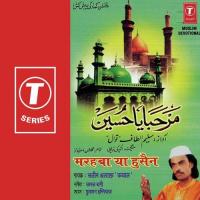 Haider Ke Dularo Ki Aaj Jaroorat Hai Saleem Altaf Qawwal Song Download Mp3