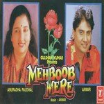 Mujhe Paas Apne Bulaya To Hota Anuradha Paudwal Song Download Mp3