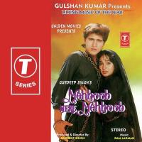 Tere Hum To Diwane Ho Gaye Lata Mangeshkar Song Download Mp3