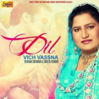 Dil Vich Vassna Sudesh Kumari,Resham Sikandar Song Download Mp3