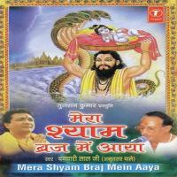 Mera Shyam Braj Mein Aaya Banwari Lal Ji Song Download Mp3