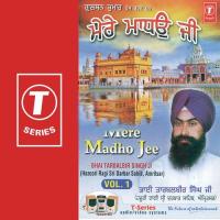 Saacha Sahib Sadh Meharvan Bhai Taarbalbir Singh Ji-Amritsar Wale Song Download Mp3