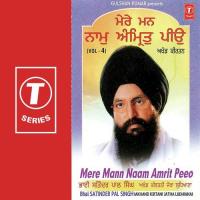 Har Har Naam Amola Bhai Satinder Pal Singh Ji-Akhand Kirtani Jatha Song Download Mp3